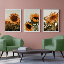 Load image into Gallery viewer, SET Of 3 Wall Art Sunflower Retro Photographs
