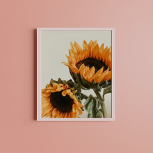 Load image into Gallery viewer, SET Of 3 Wall Art Sunflower Retro Photographs
