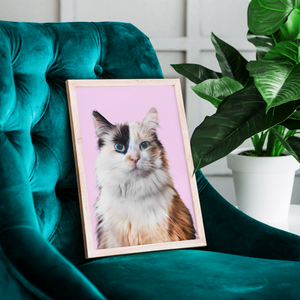 Australia Framed Custom Pet Portraits